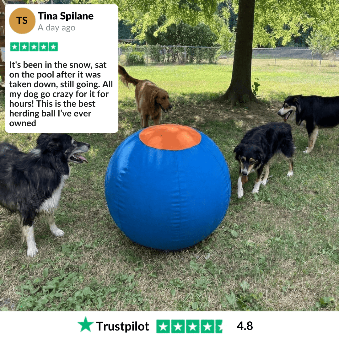 Valkyrie Herding Ball