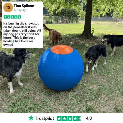 Valkyrie Herding Ball
