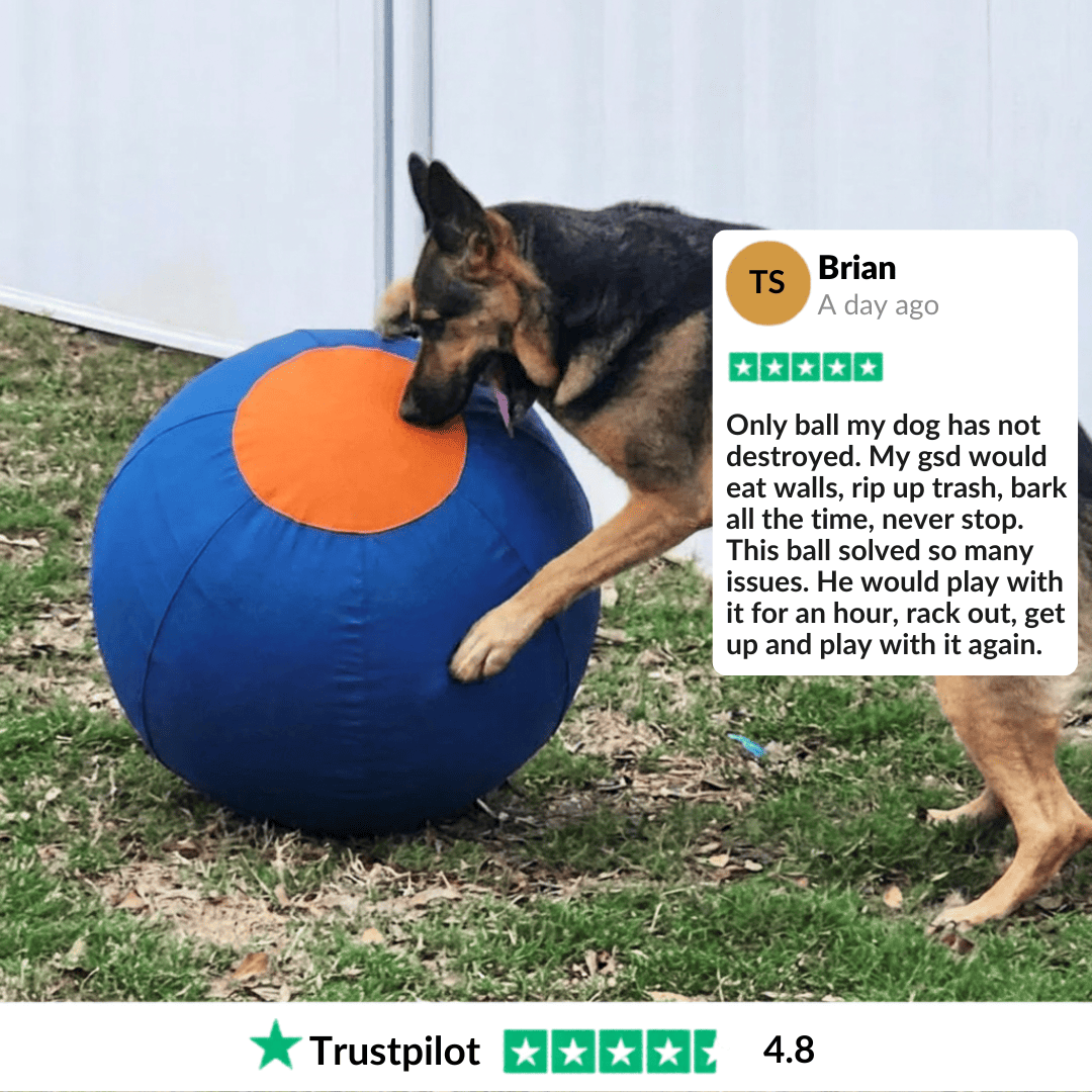 Valkyrie Herding Ball