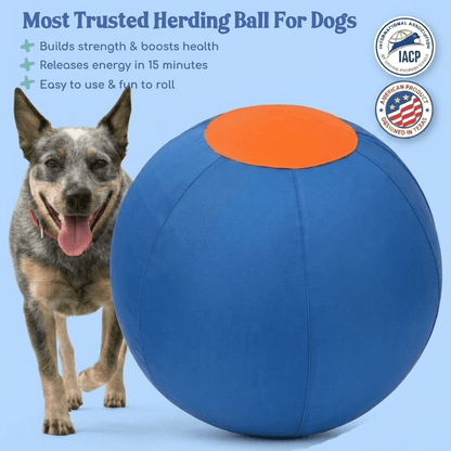 Valkyrie Herding Ball