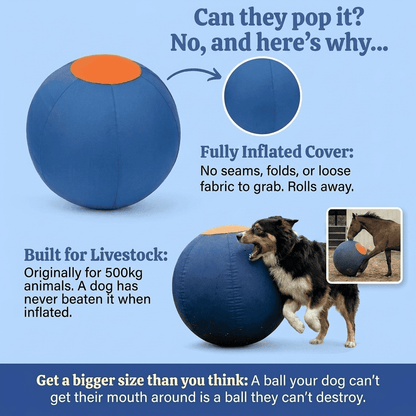 Valkyrie Herding Ball