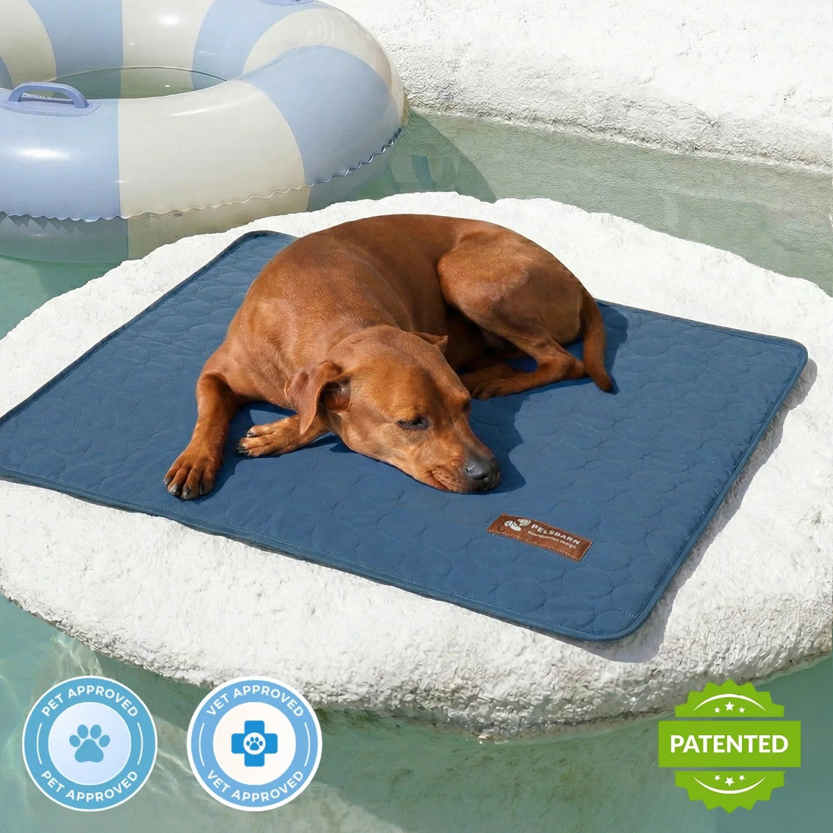 Cooling Dog Mat