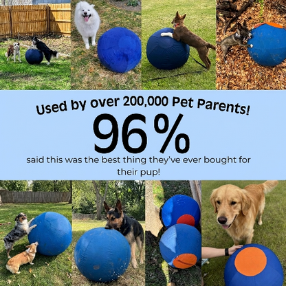 Valkyrie Herding Ball