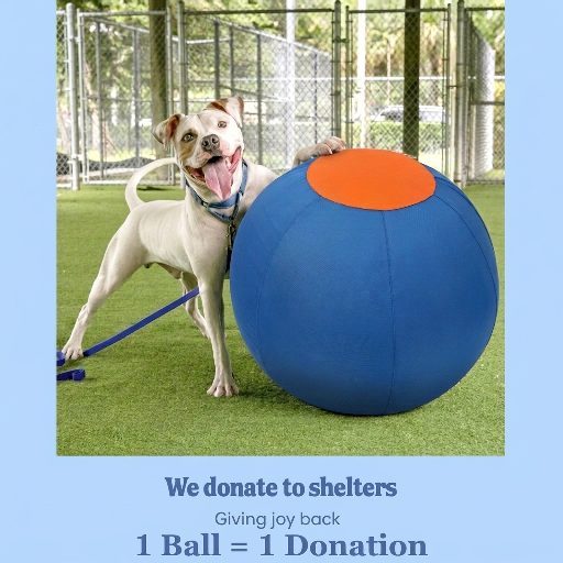Valkyrie Herding Ball